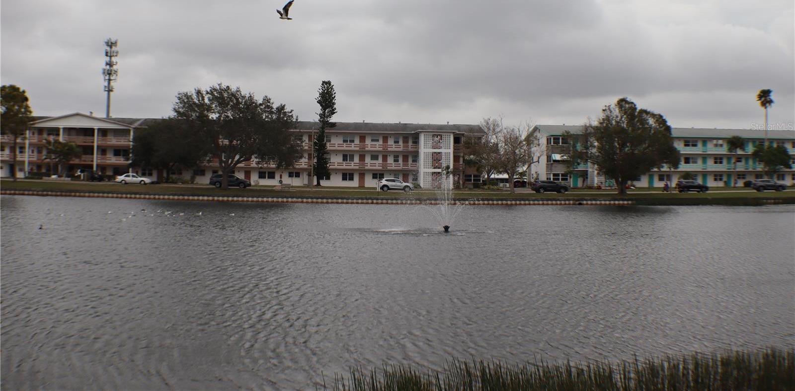 Photo #12