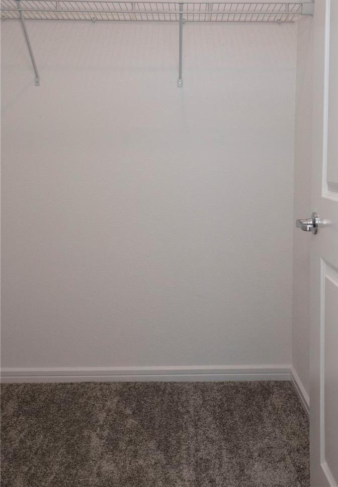 Photo #11