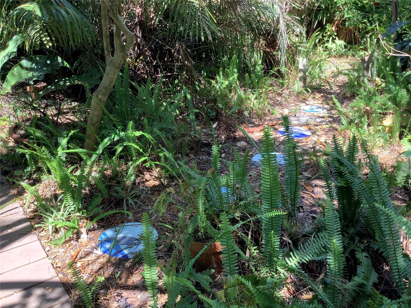 Photo #27