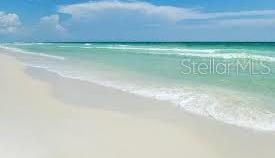 Photo #12
