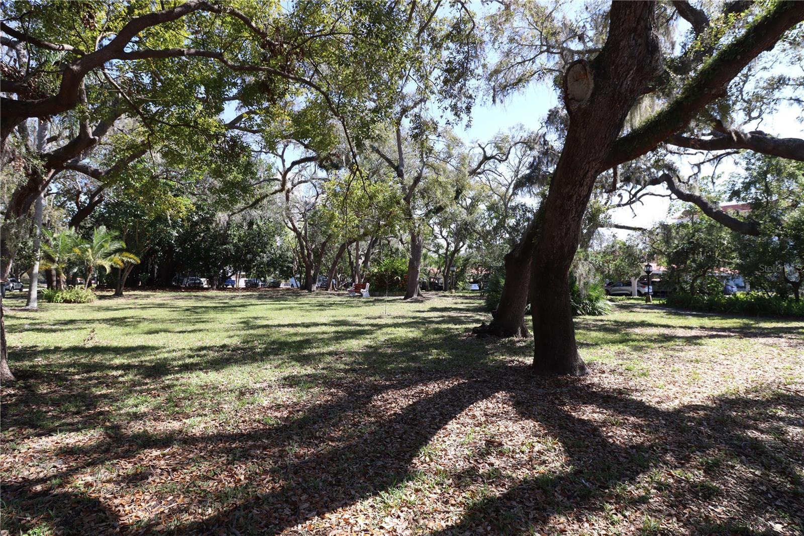 Photo #31