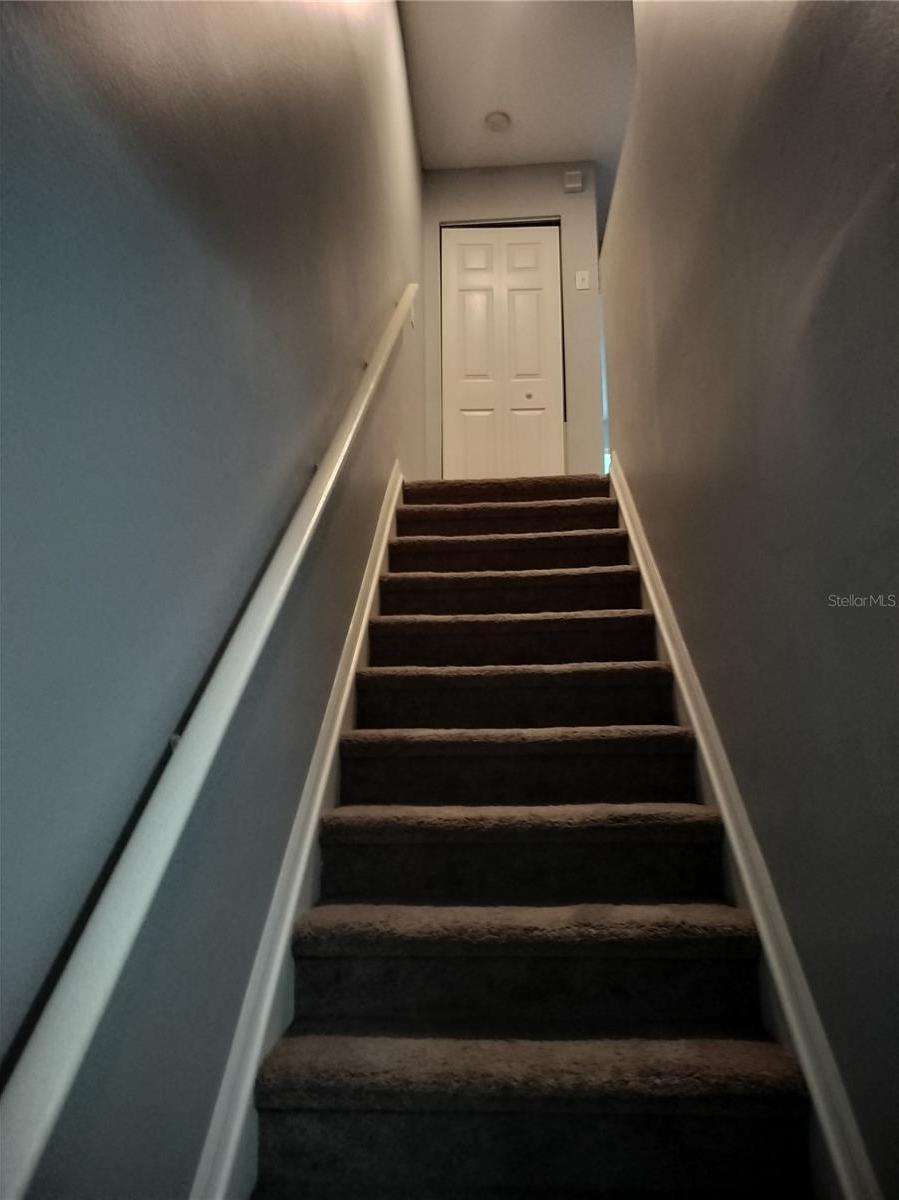 Photo #11