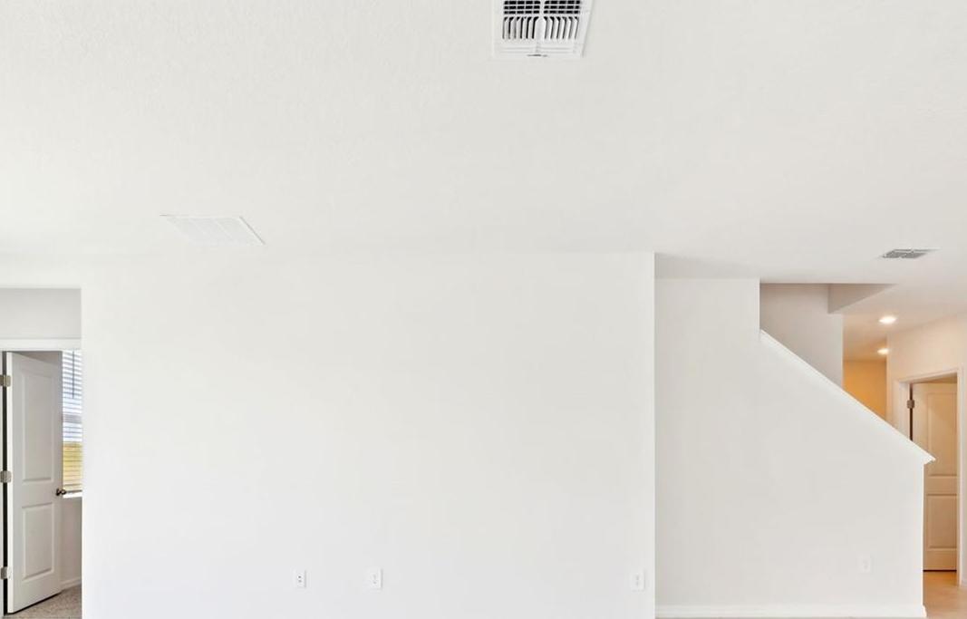 Photo #7