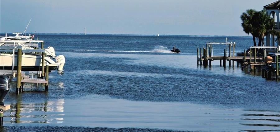 Photo #31