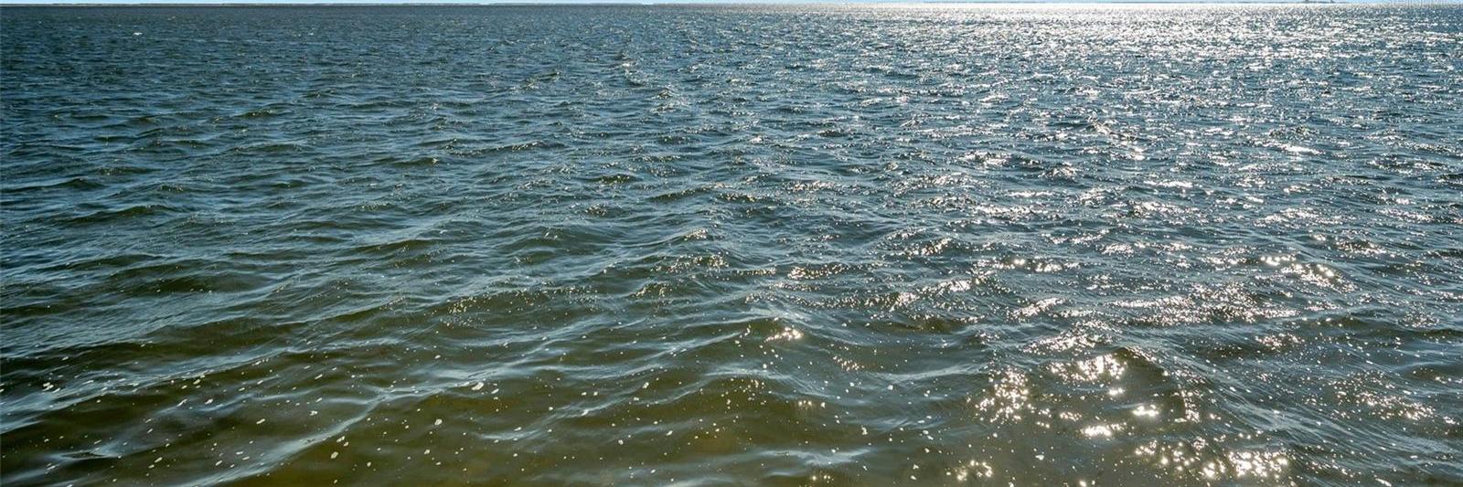 Photo #39