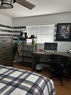 Photo #13