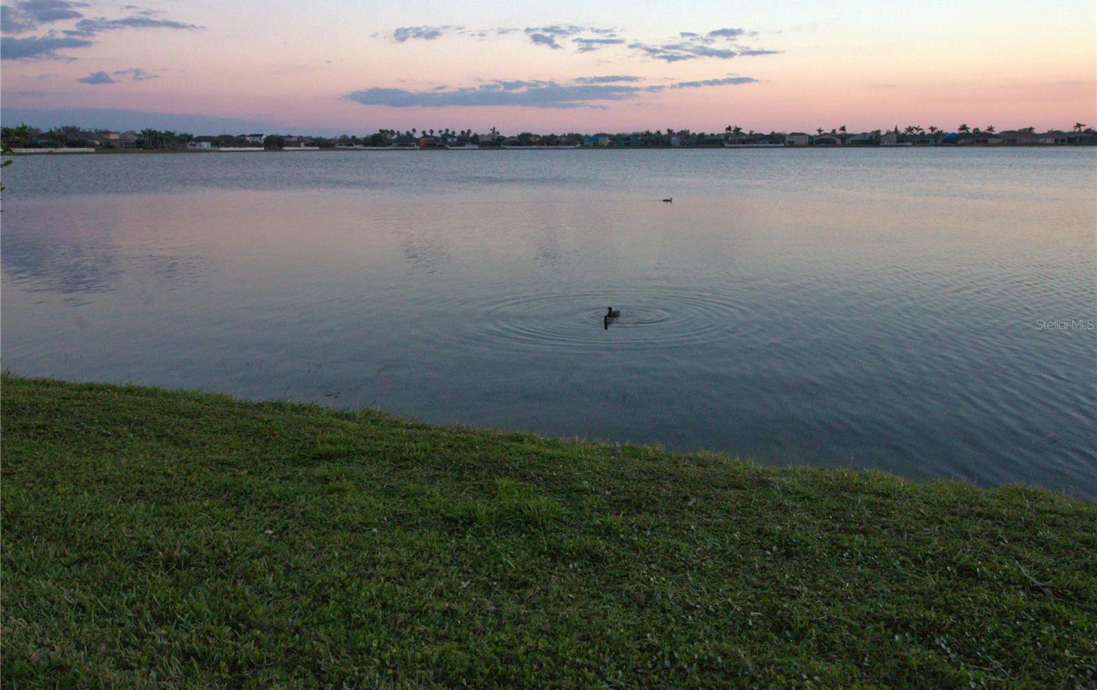 Photo #66