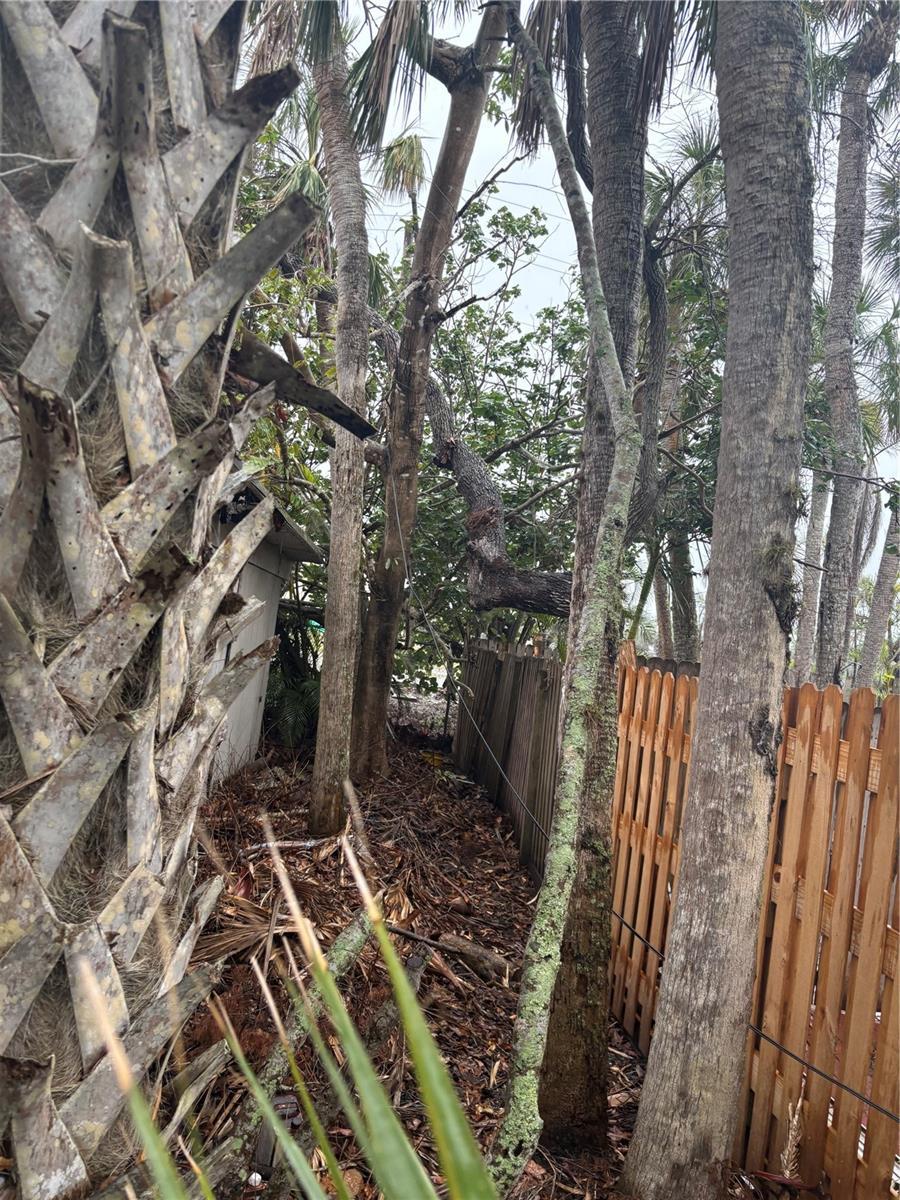 Photo #6