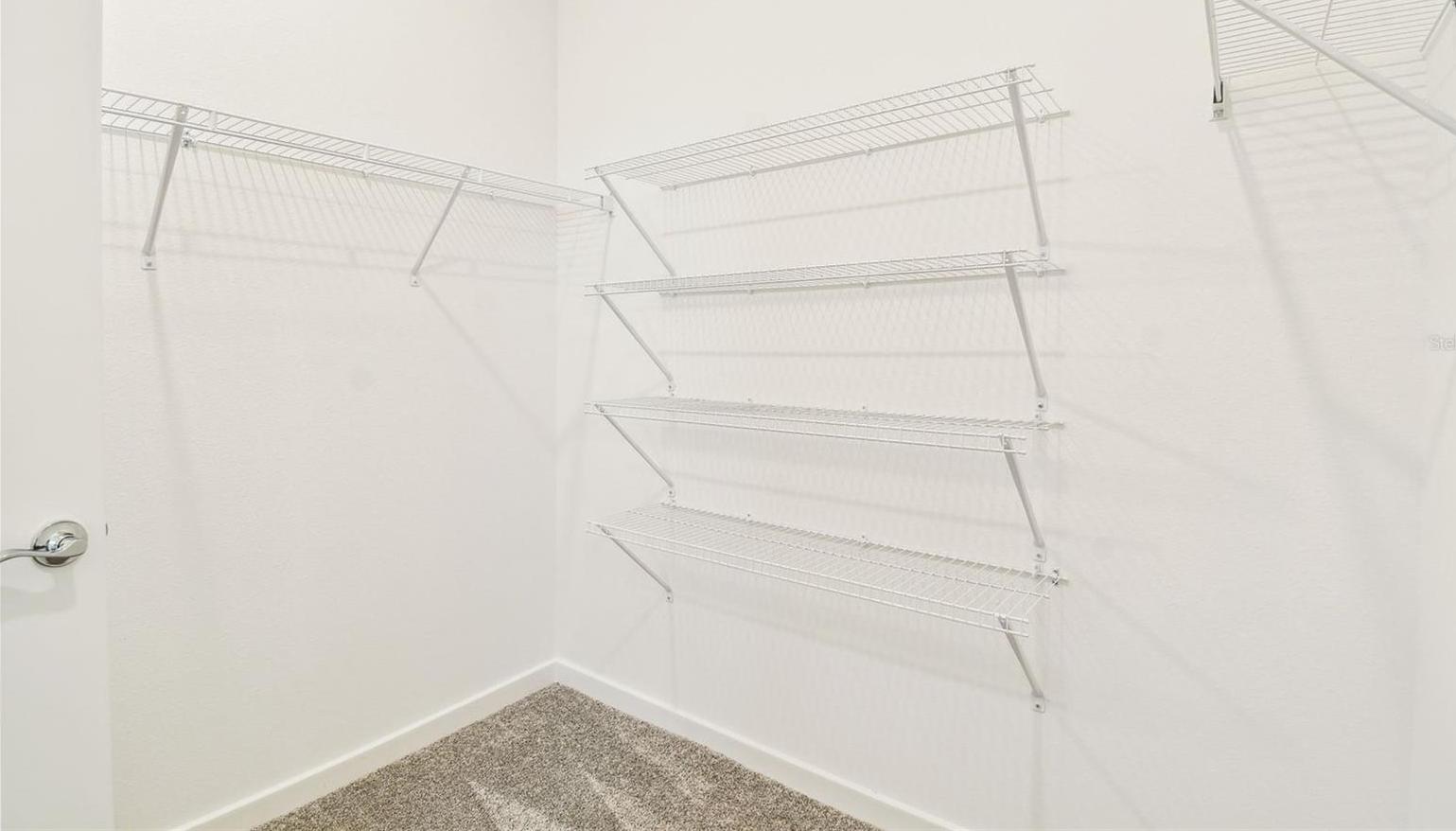Photo #14