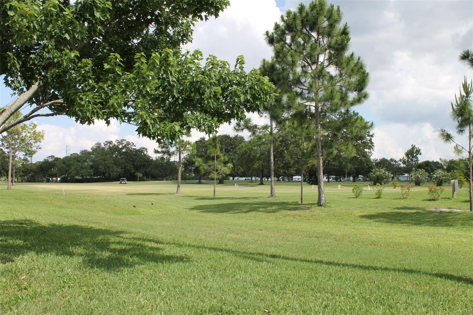 Photo #48