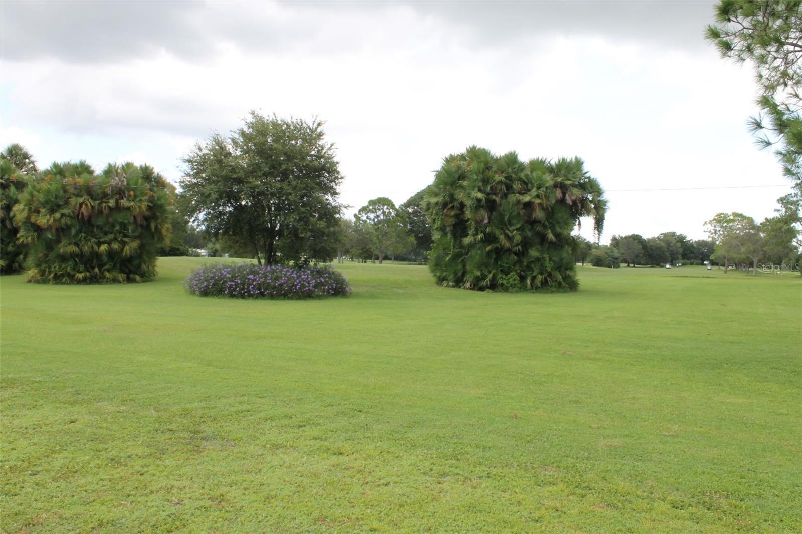 Photo #47