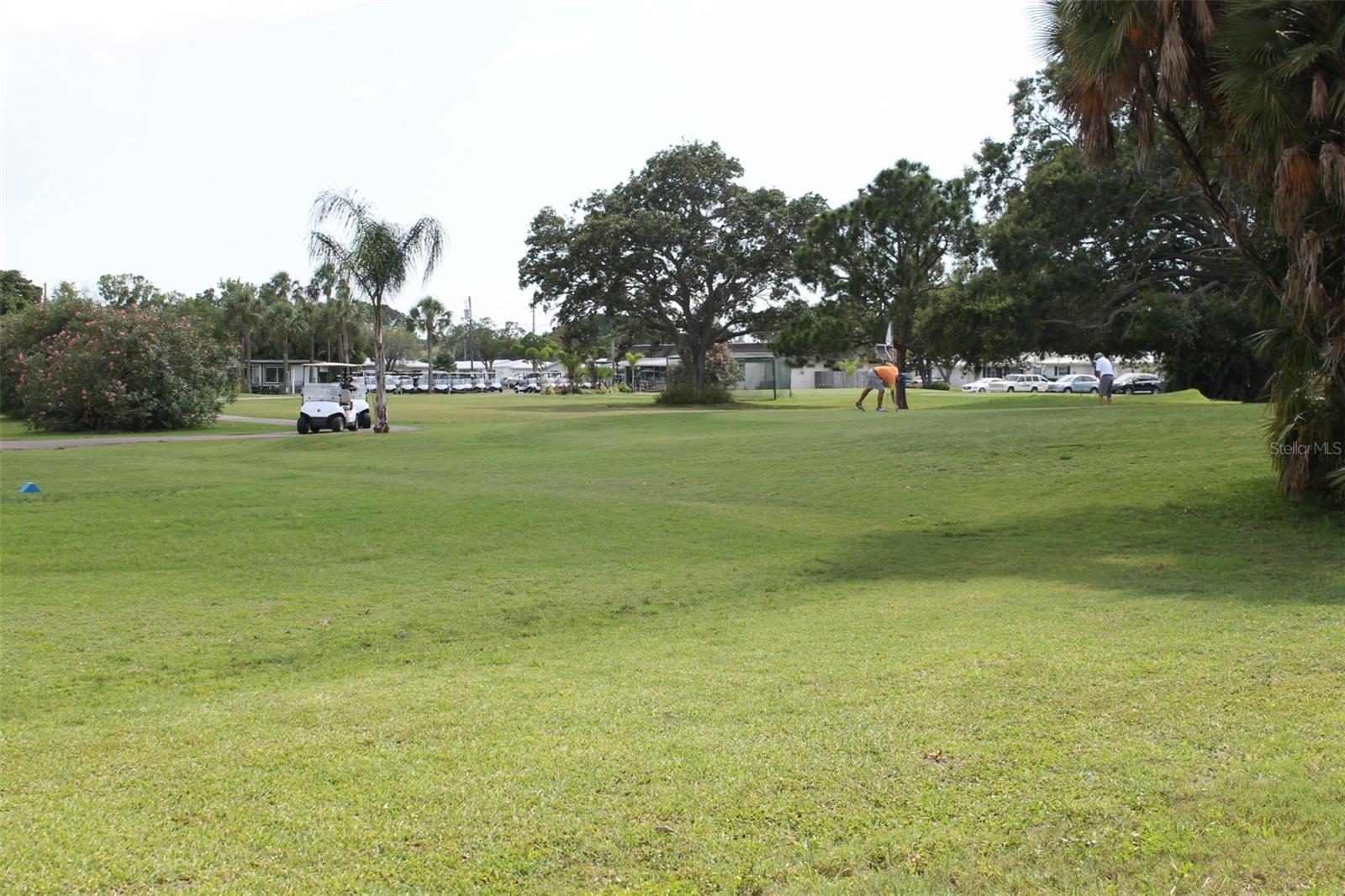 Photo #49