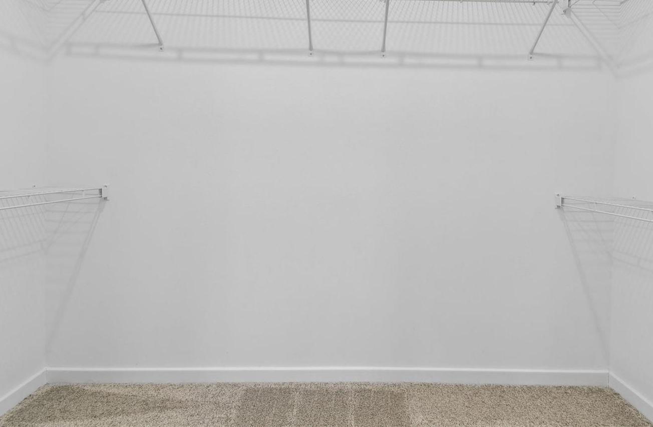 Photo #13