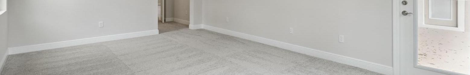 Photo #15