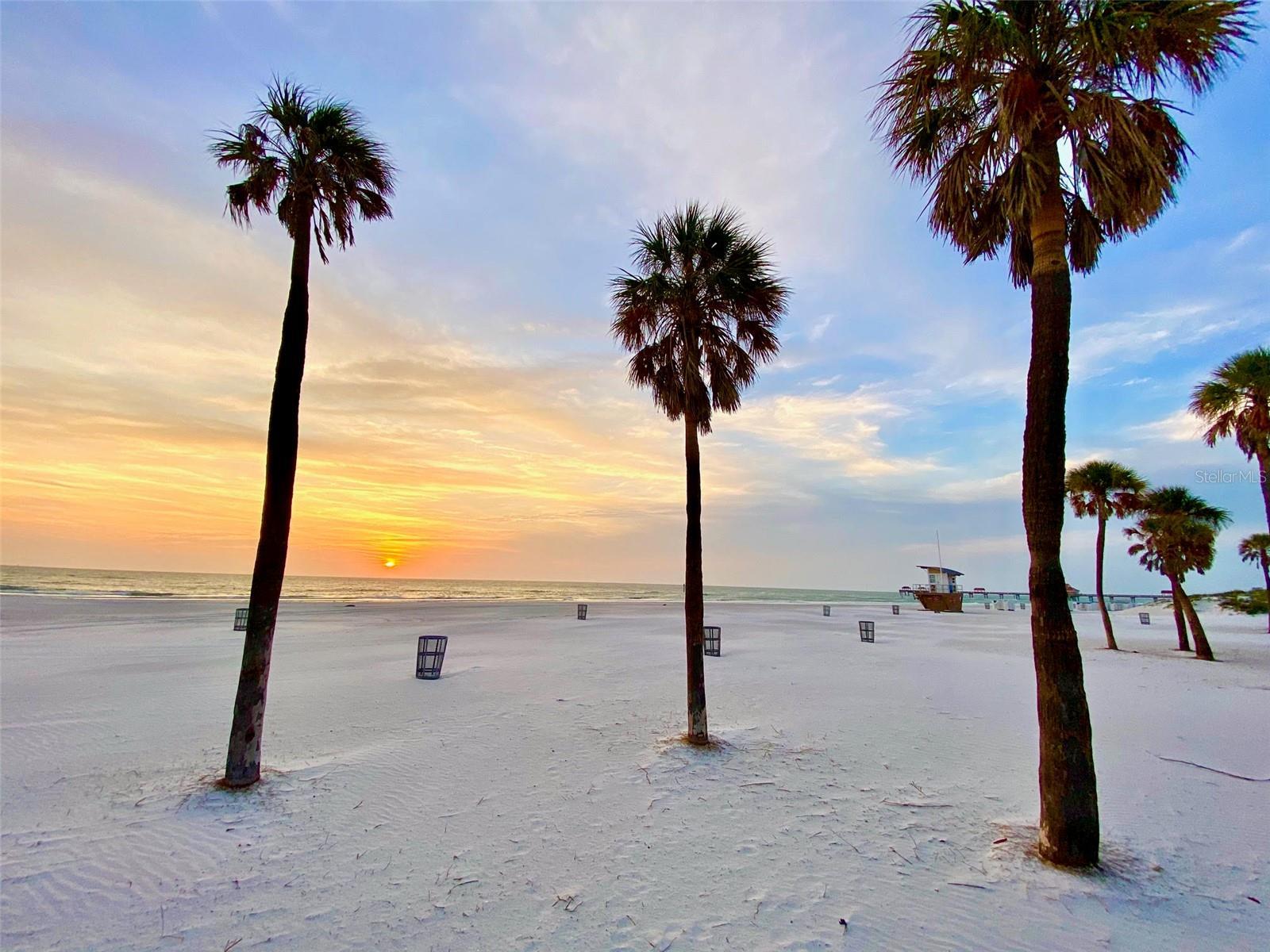 Photo #31