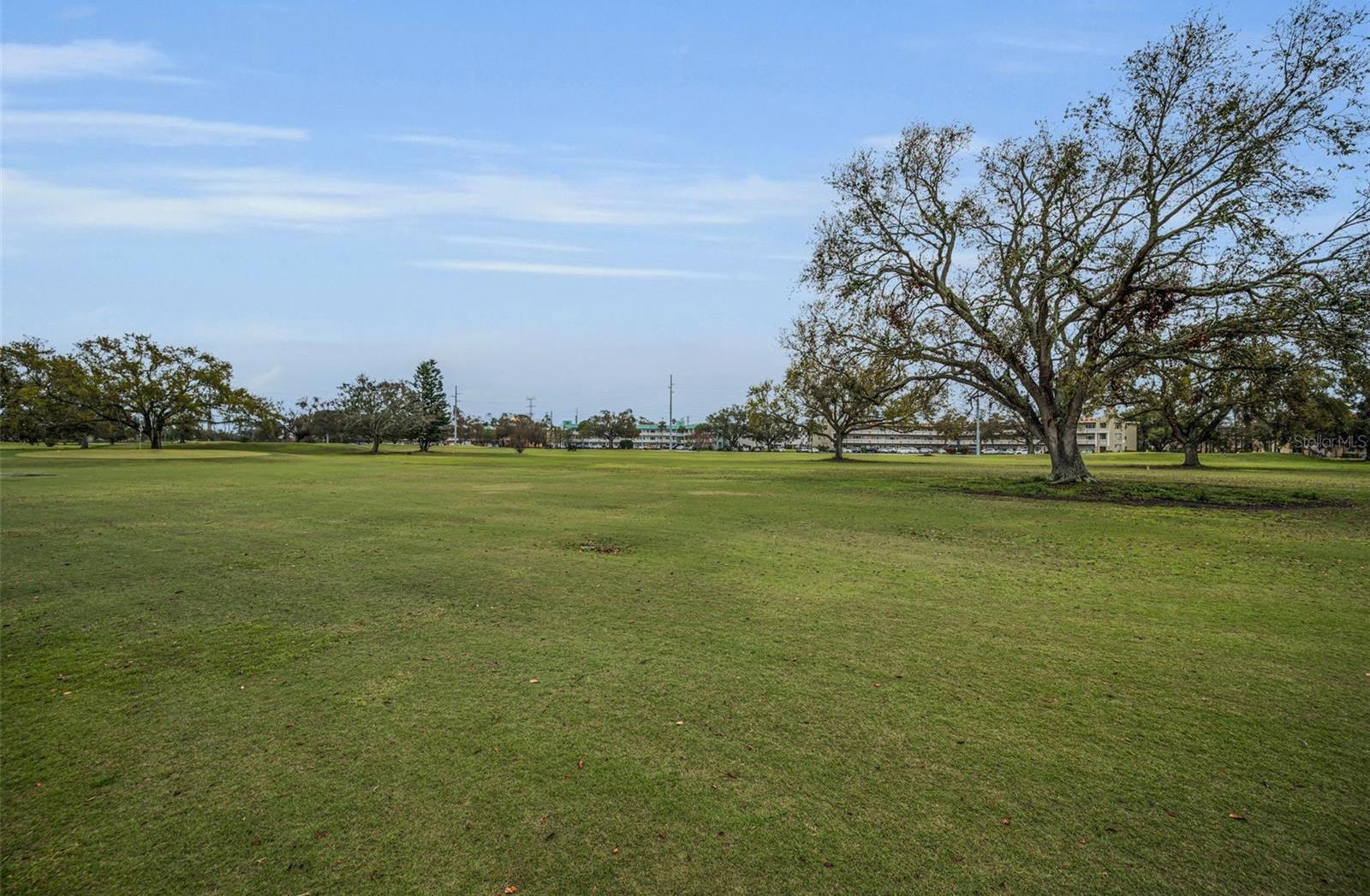 Photo #35