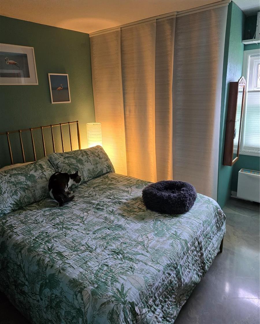 Photo #11