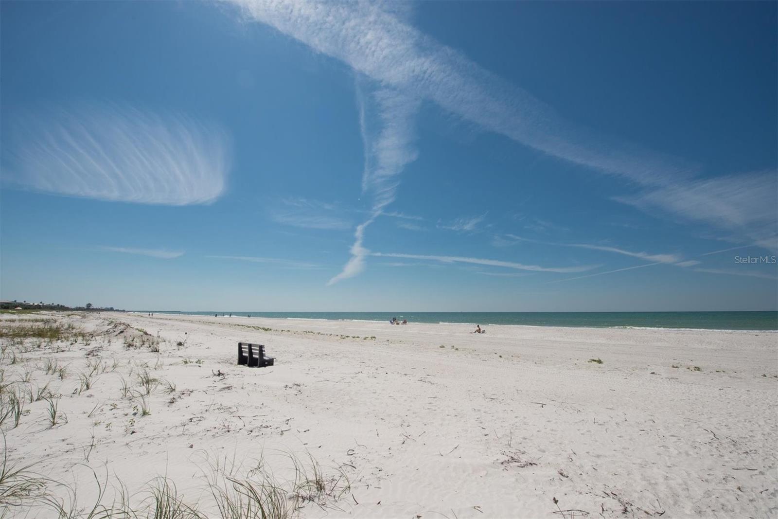Photo #47