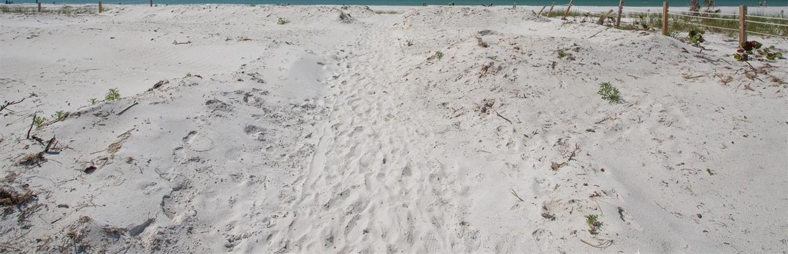 Photo #46