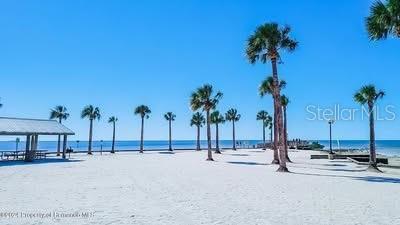 Photo #38
