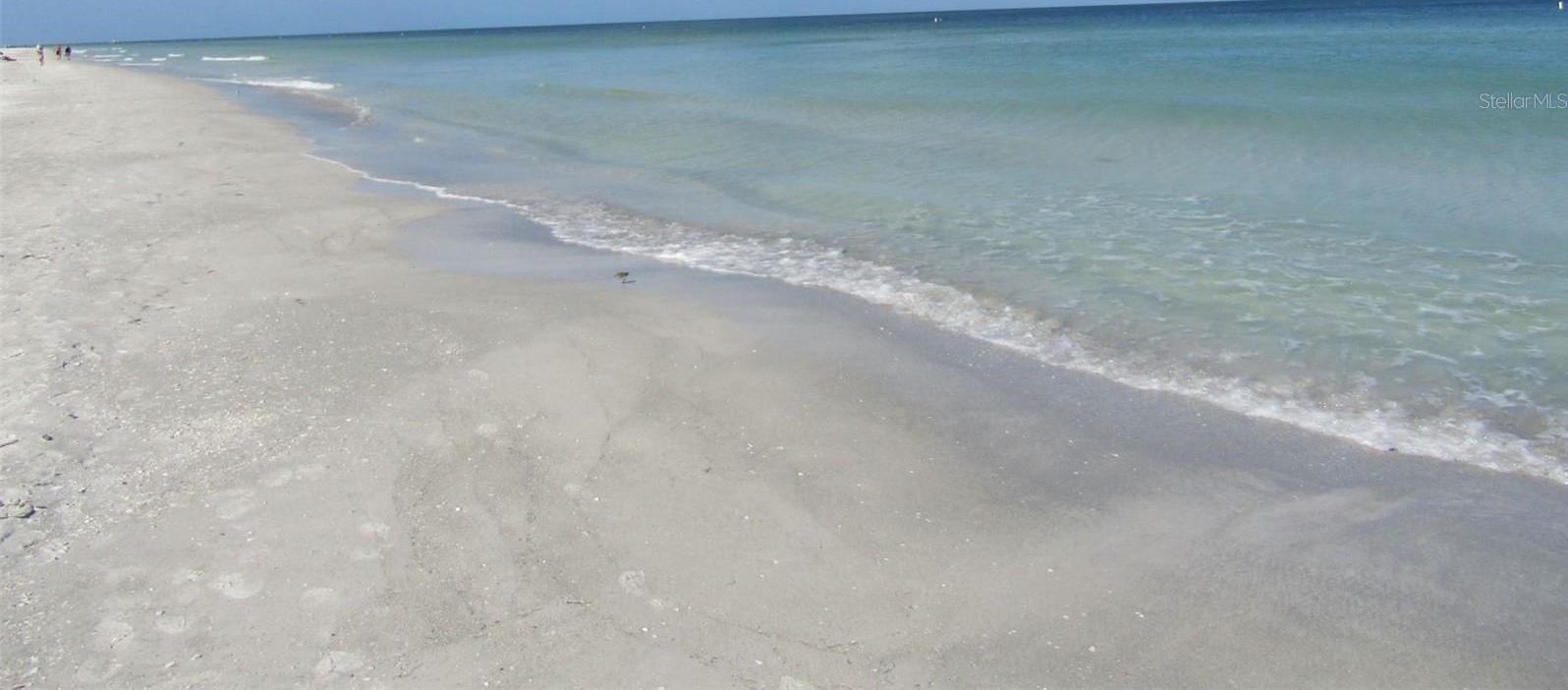 Photo #31
