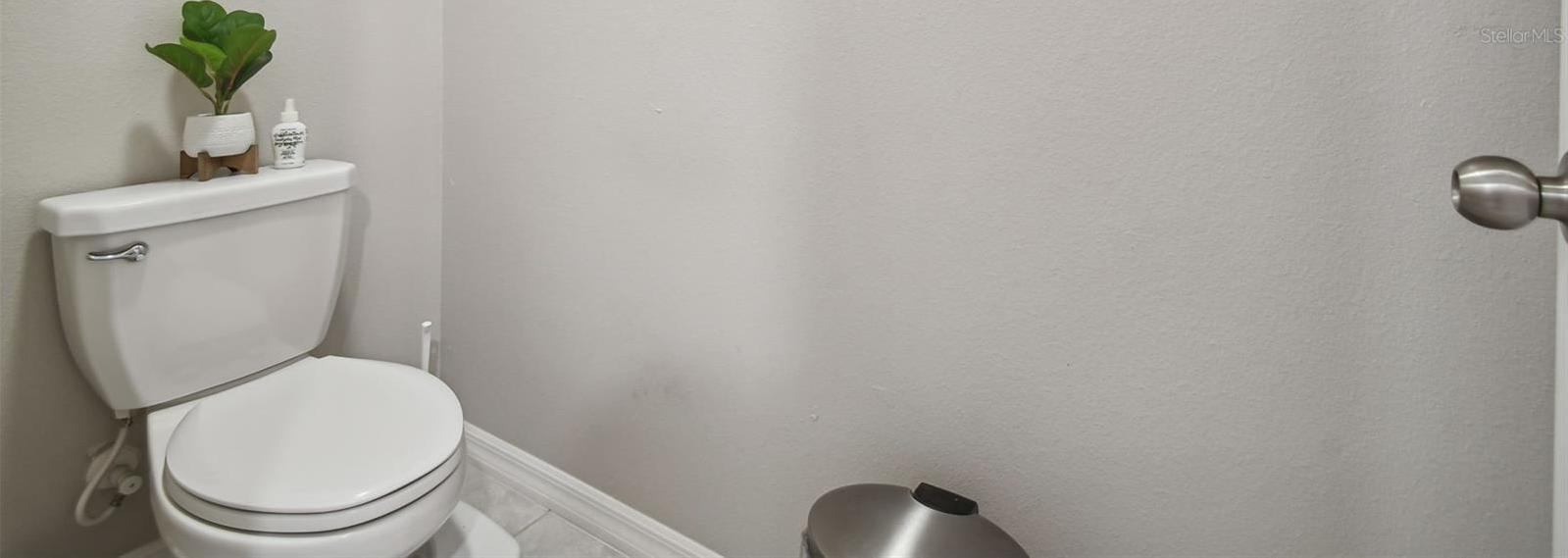 Photo #44