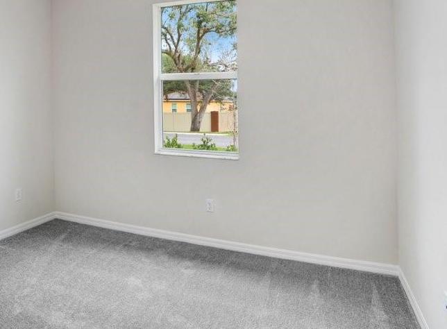 Photo #5