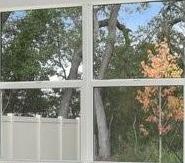 Photo #12