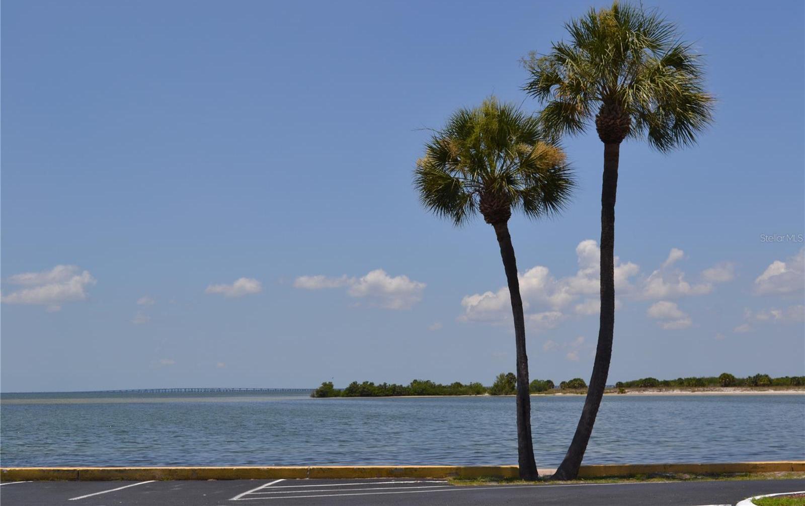 Photo #24