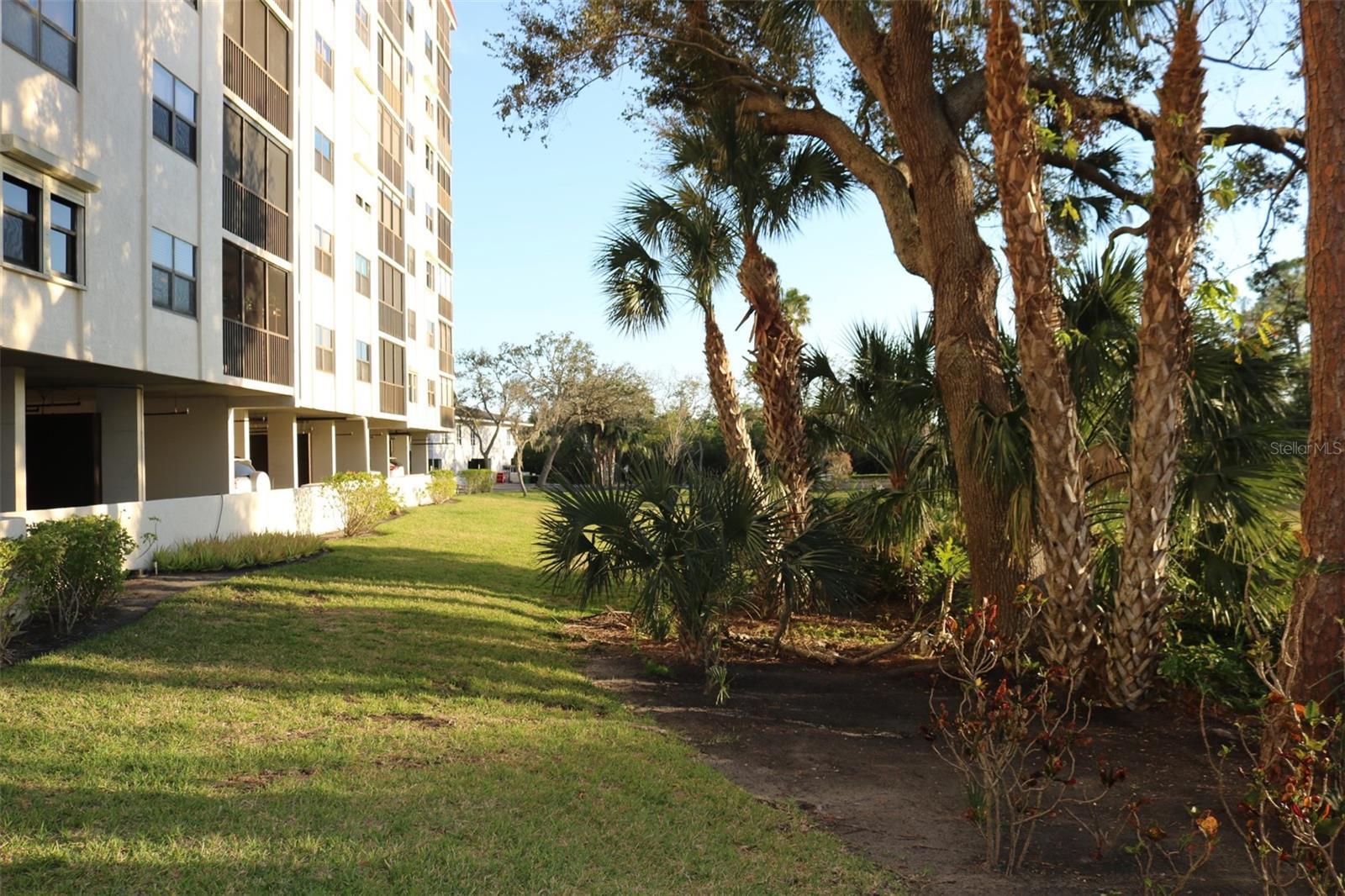 Photo #45