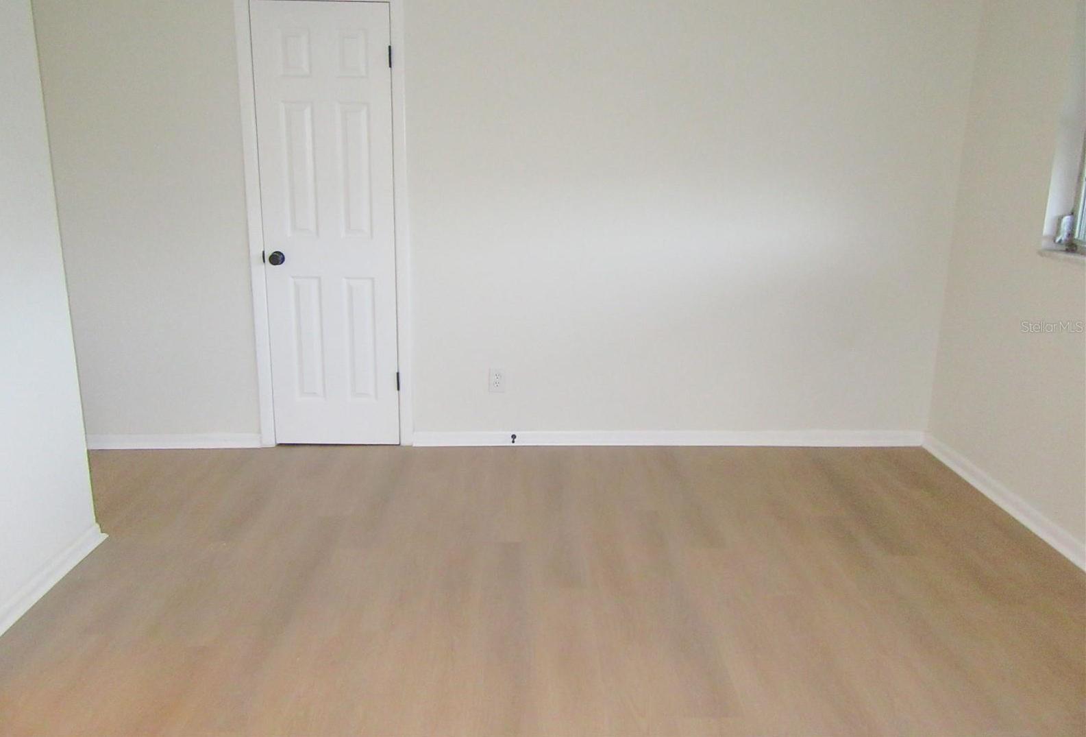 Photo #37