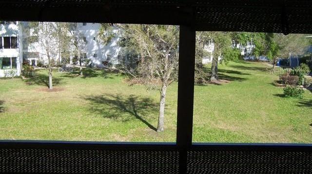 Photo #14
