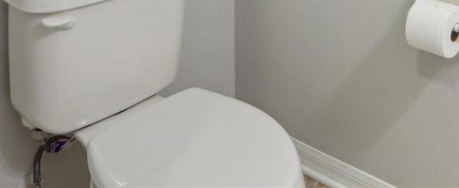 Photo #31