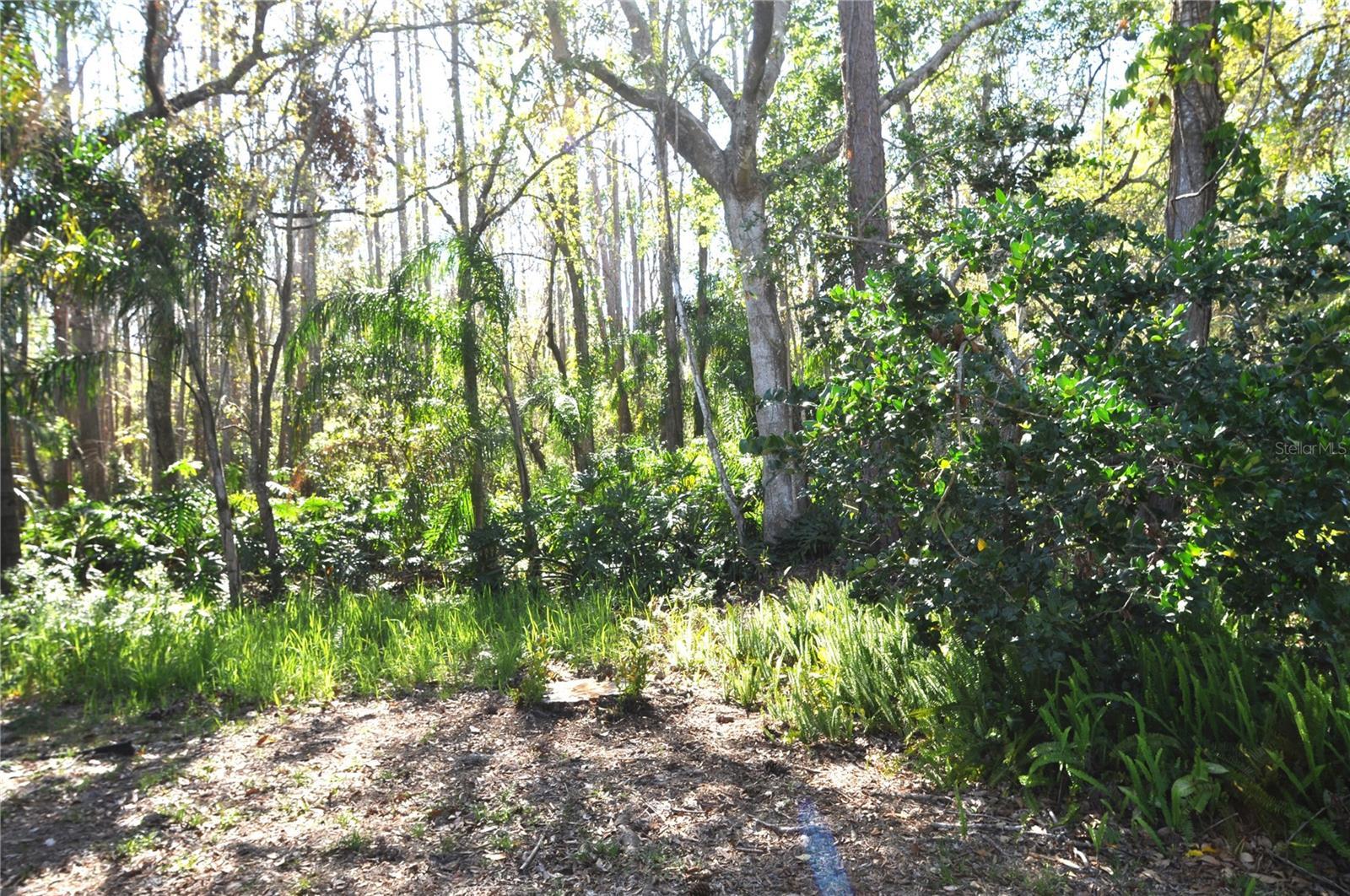 Photo #29