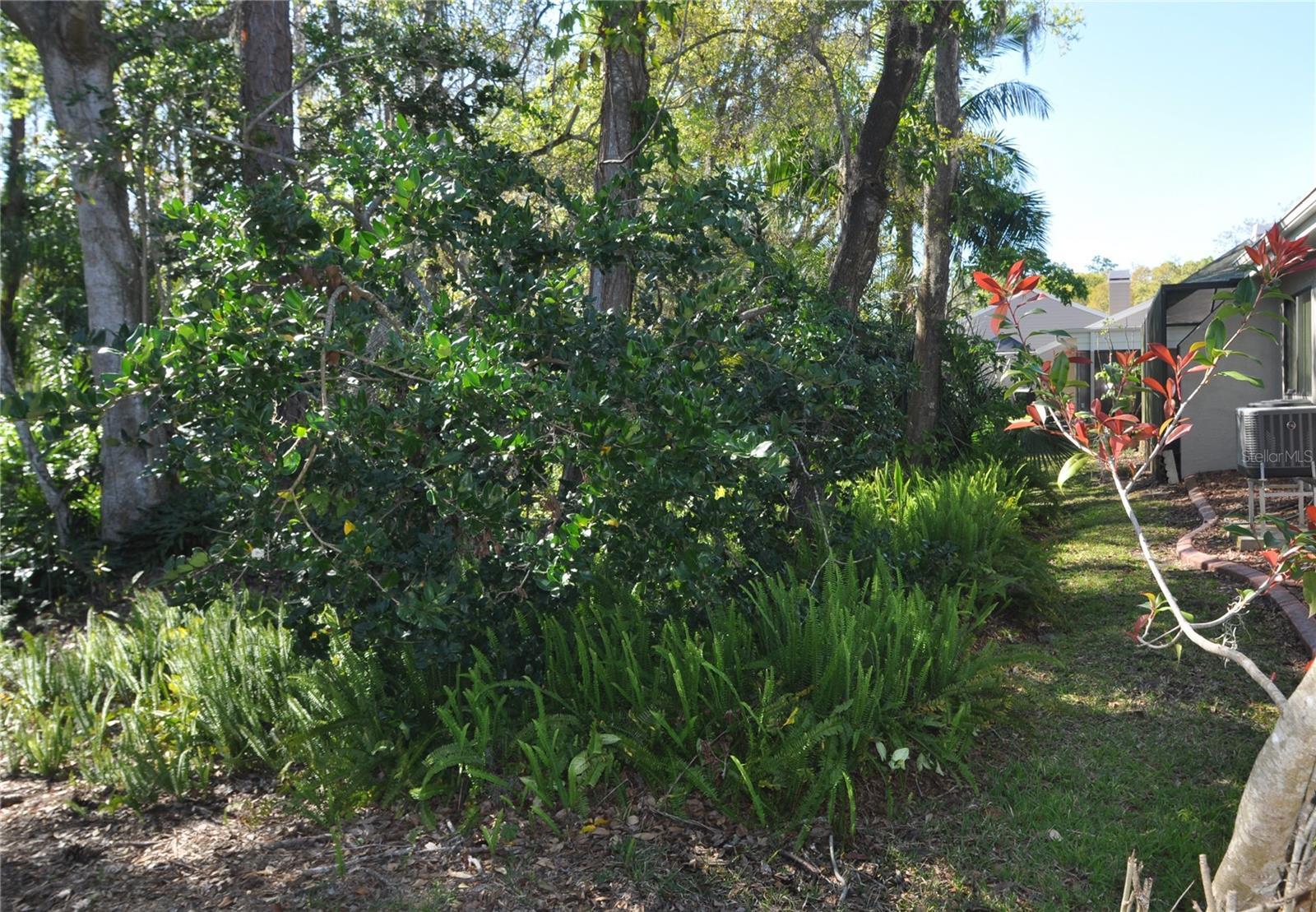 Photo #30