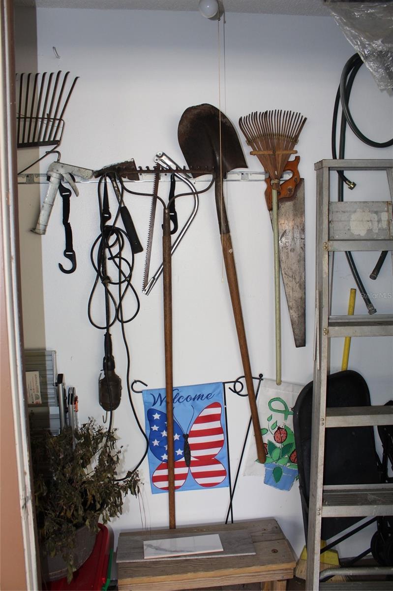 Photo #7