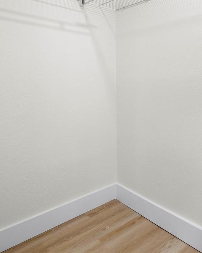 Photo #13