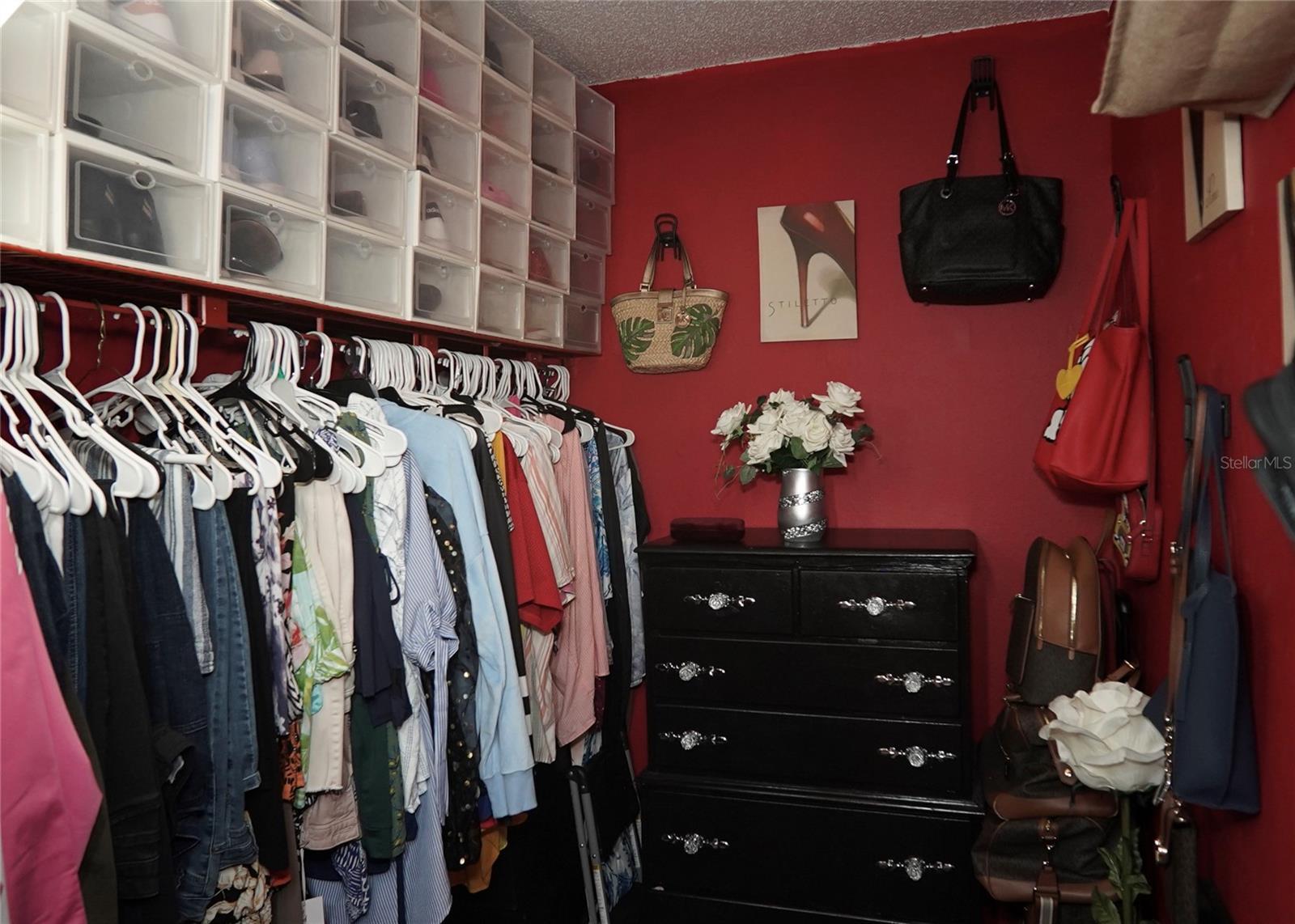 Photo #8