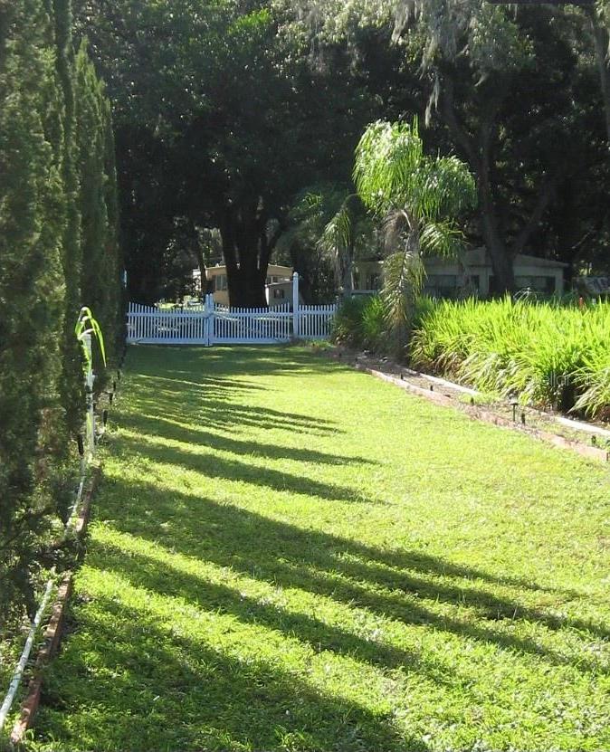 Photo #3