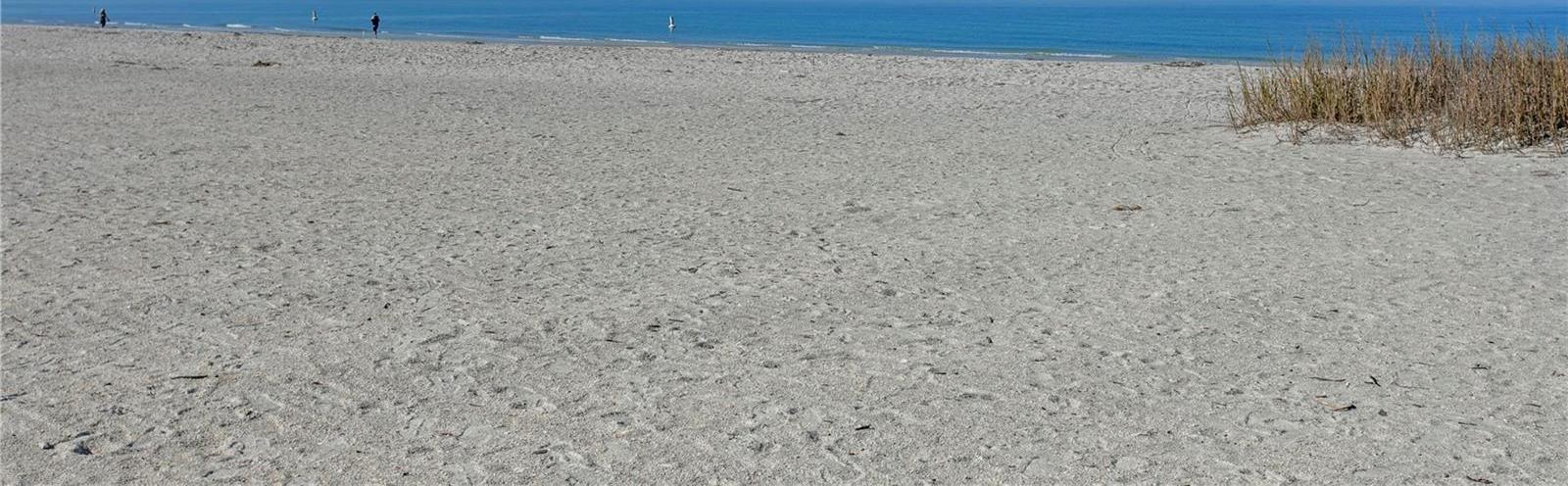 Photo #30