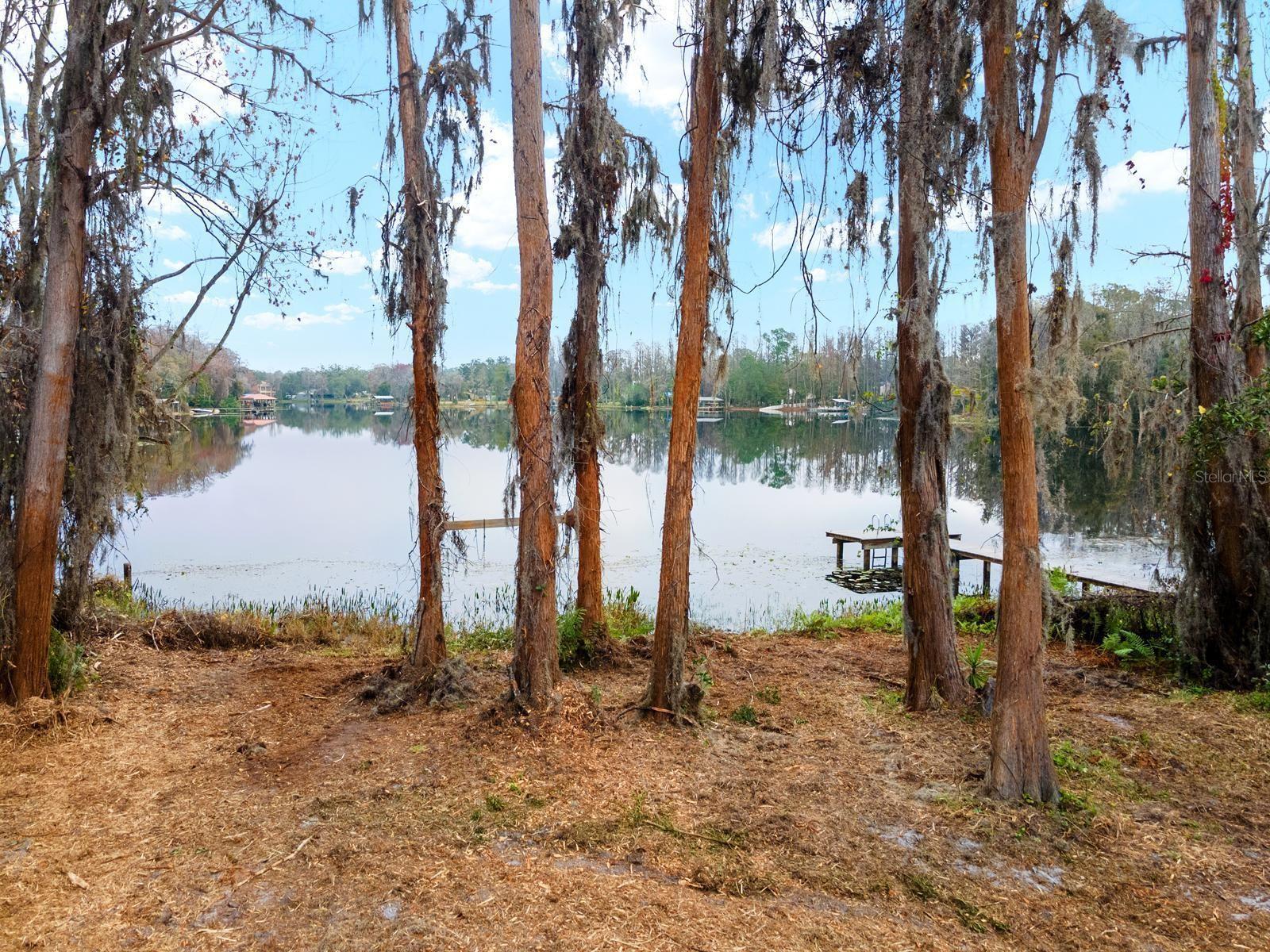 Photo #16