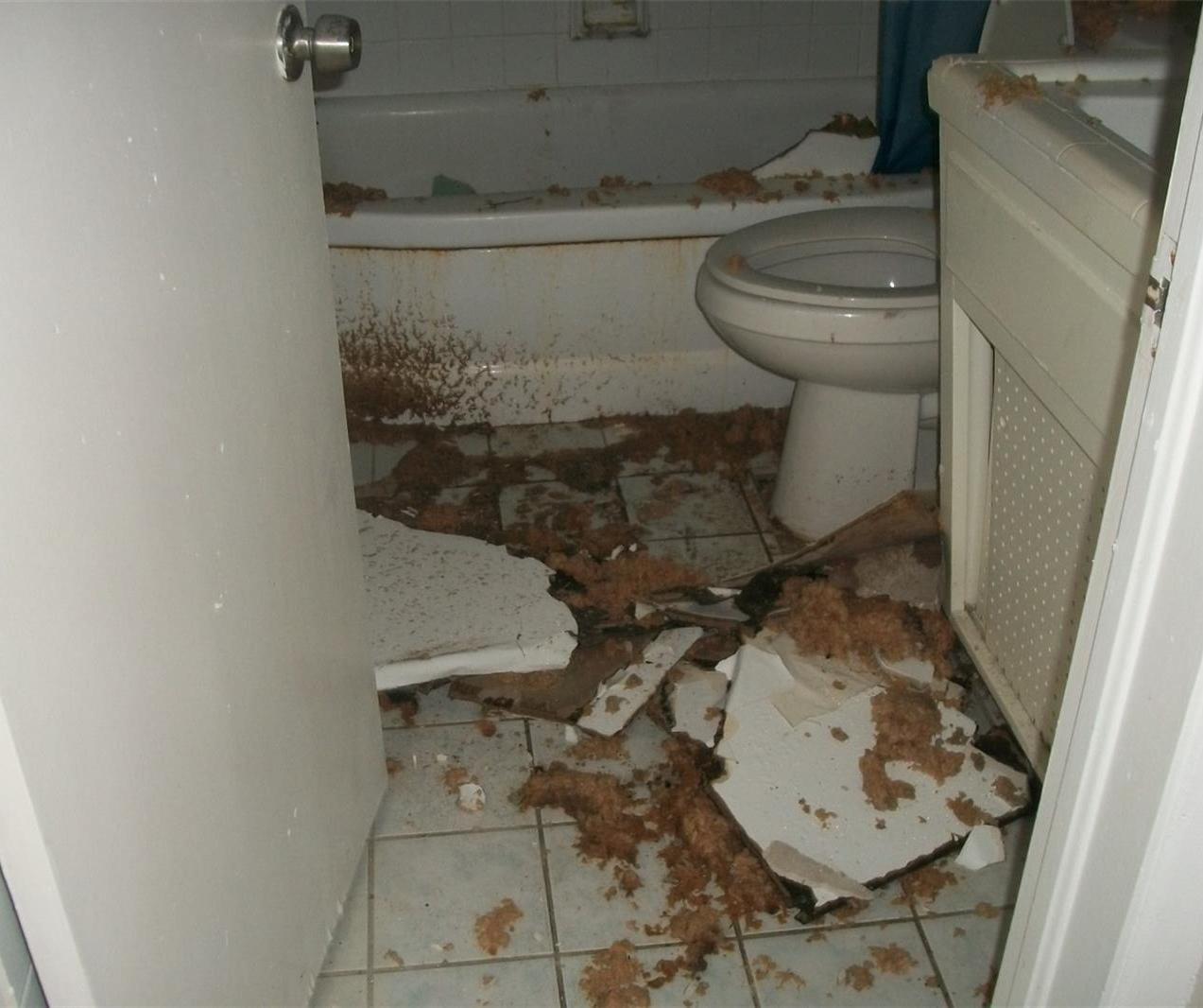 Photo #16