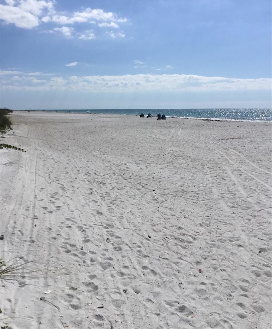 Photo #41