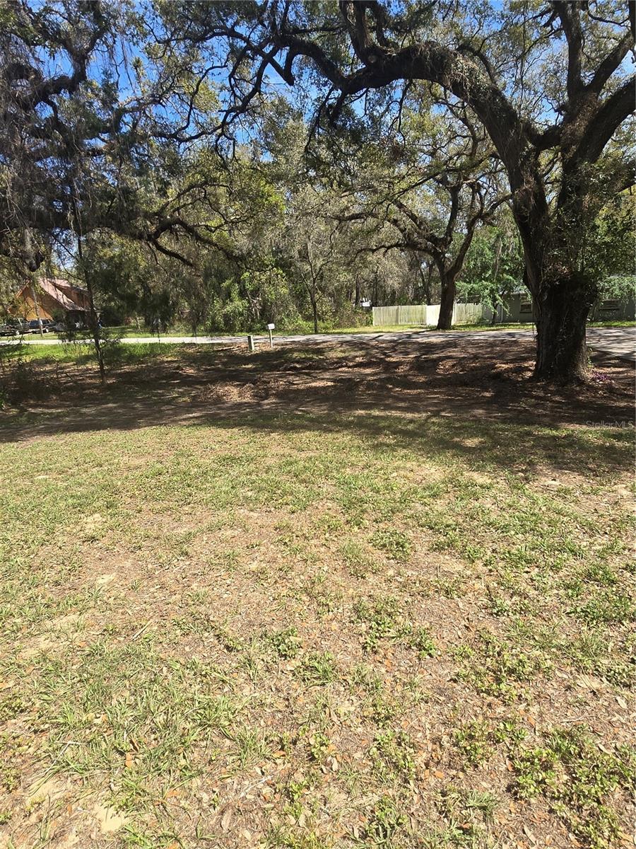 Photo #36