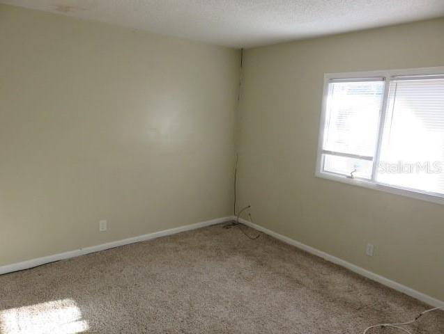 Photo #8