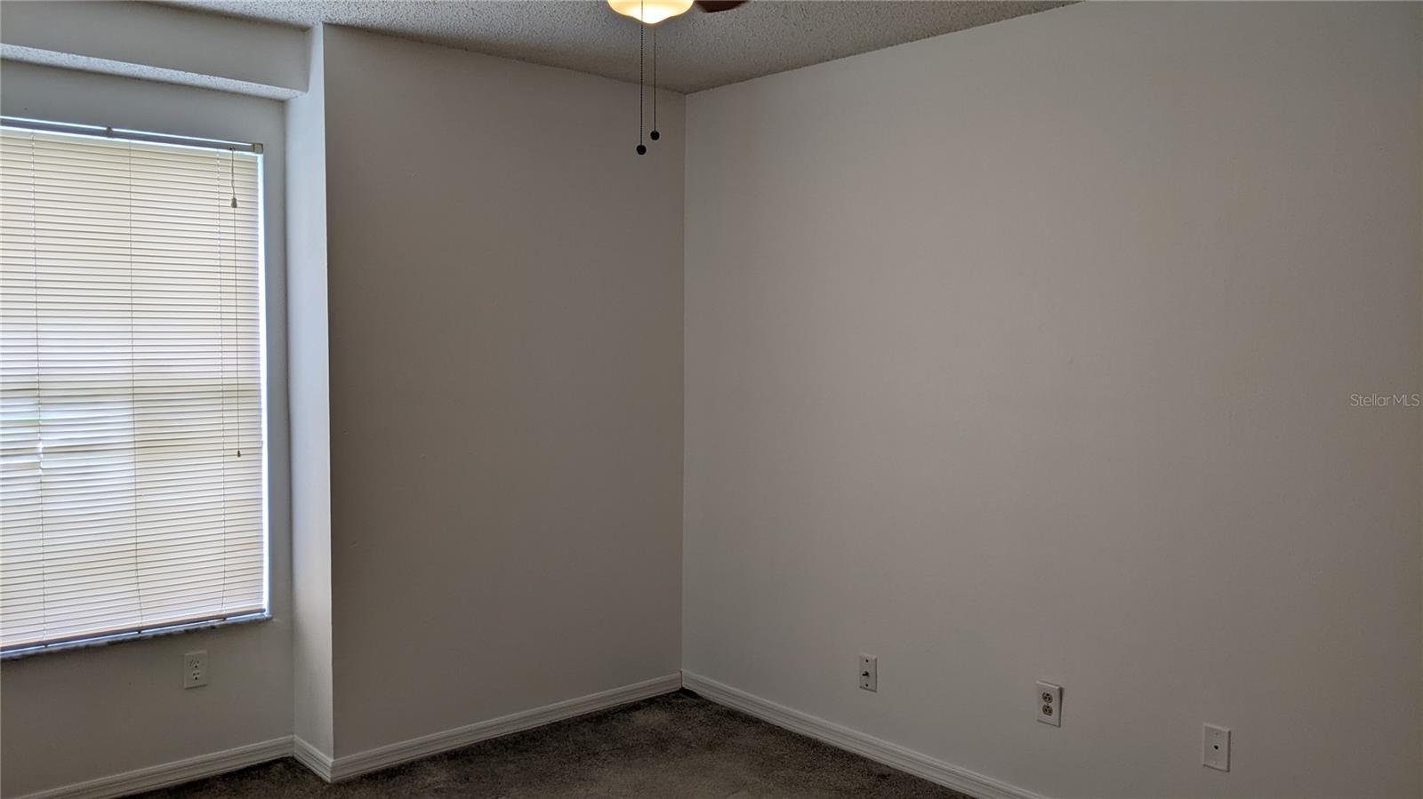 Photo #33