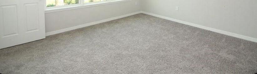 Photo #13
