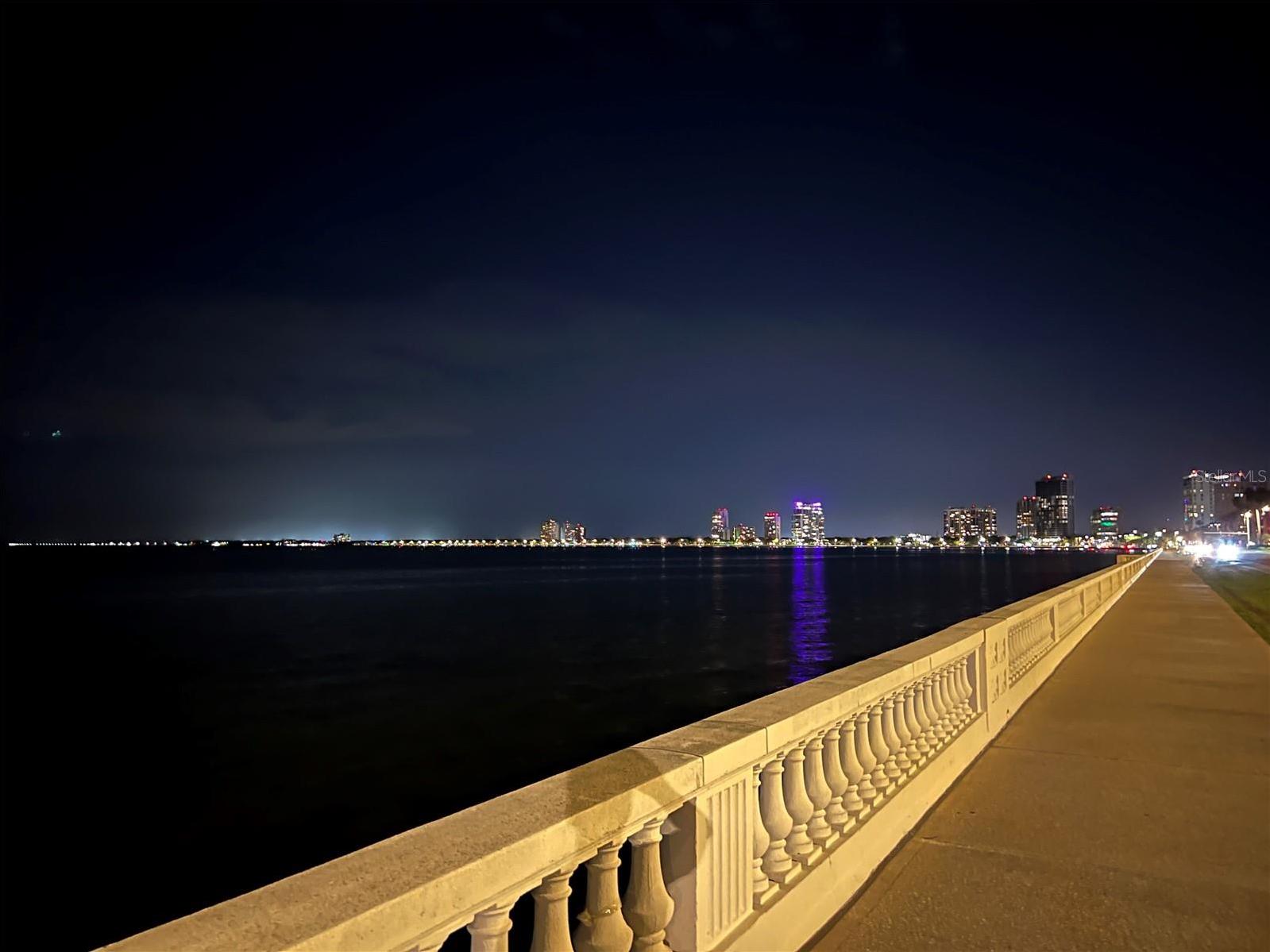 Photo #6