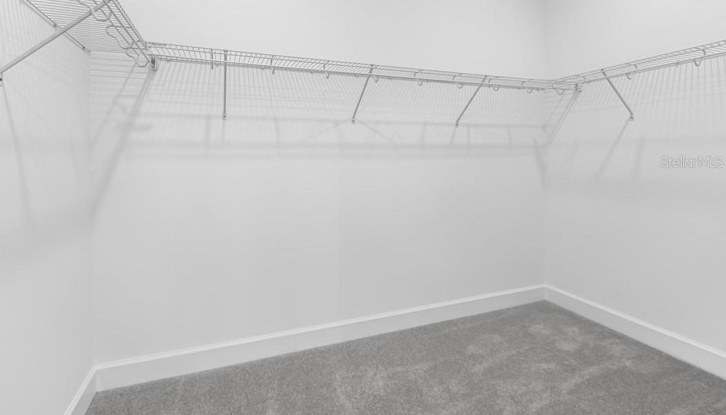 Photo #14