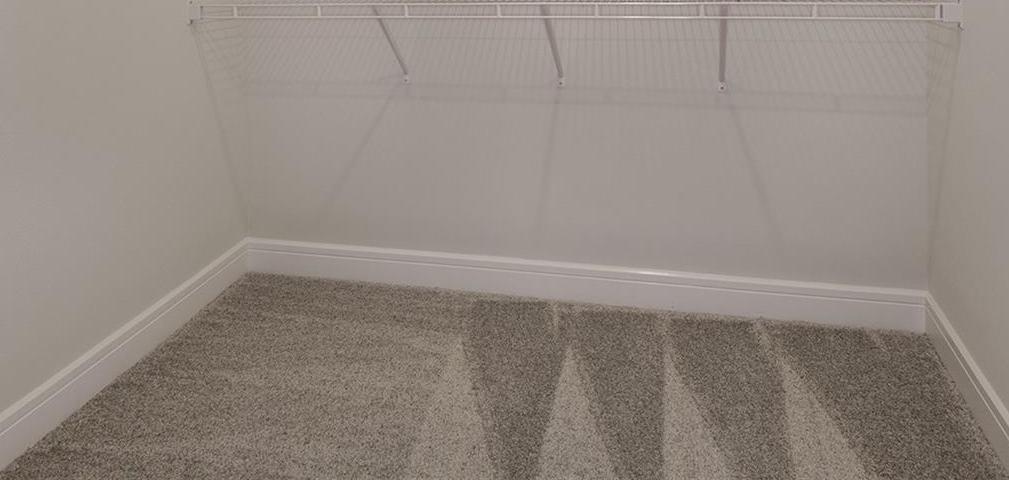 Photo #15